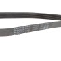 Ремінь генератора Chevrolet Captiva 2.0D 06-