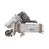 Радіатор рециркуляції ВГ BMW 3 (E90) 3.0d (N57) 05-11/5 (F10) 2.0d (N47)/2.0d (N57) 10-16