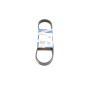 Ремінь генератора Citroen Berlingo/Fiat Ducato/Peugeot Boxer/Expert 1.9 D/TD 96-03 (6PK730)