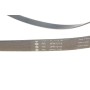 Комплект ременя генератора Citroen Jumpy/Fiat Scudo/Peugeot Expert 2.0HDi  04- (6PK1218)