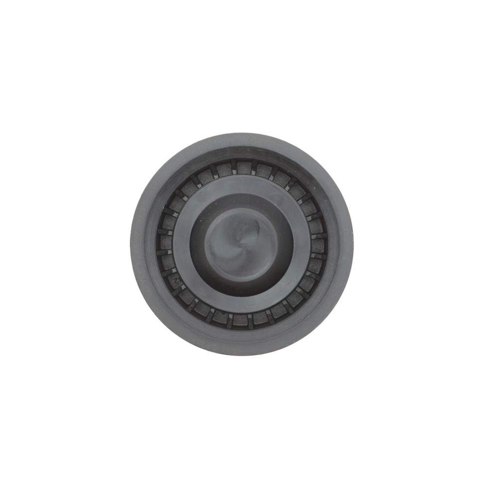Ролик генератора Renault Megane III/Scenic III 1.2-1.4 12-(паразитний) (75х29), H5F/H4J