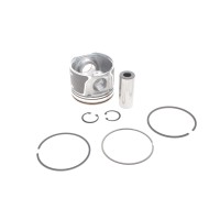 Поршень Ford Connect 1.8TDCI 06-13 (82.50mm/STD)