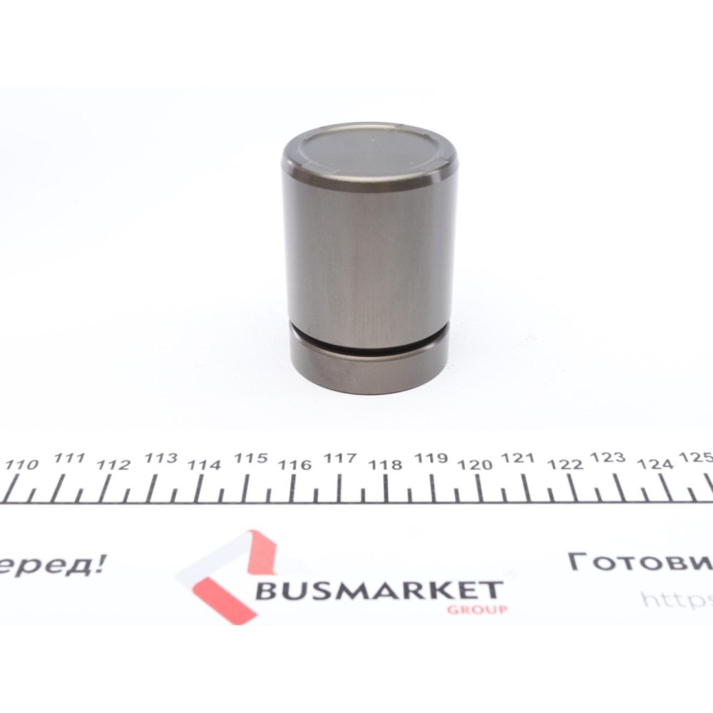 Поршень супорта (переднього) BMW 5 (E60/E61) 04- (42x55.5mm) (Ate)