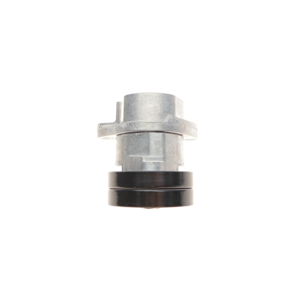 Натяжник ременя генератора Chevrolet Lacetti/Opel Combo/Astra 1.4-1.8 91-