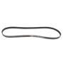 Ремінь генератора Ford Transit Connect 02-13/Focus 1.8 TDCi 99-05/Toyota Avensis 03-12/Corolla 01-07