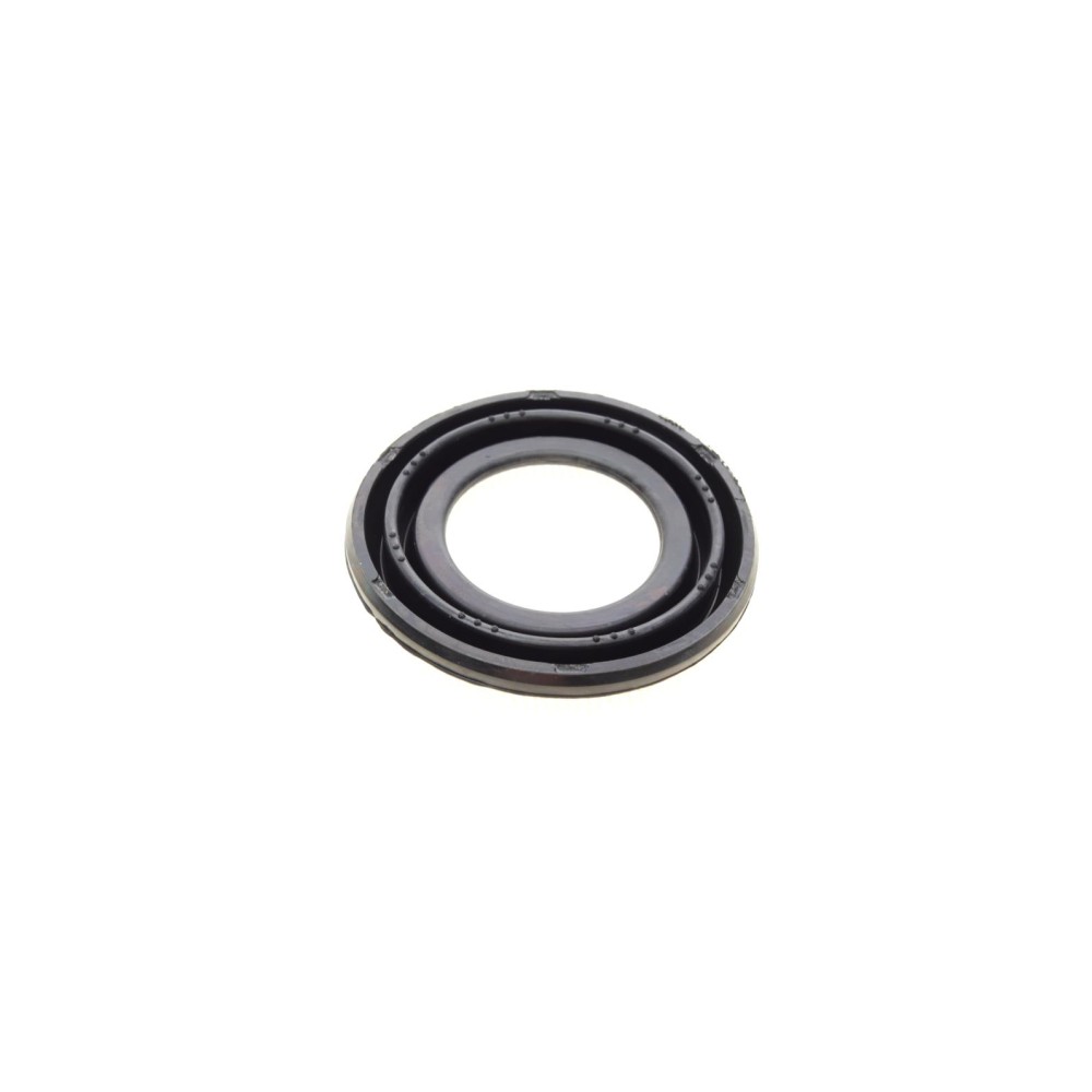 Ремкомплект супорта (заднього) Ford Transit 06-14 (d=48mm)(Bosch)(+1 поршень/направляюча) SuperKit