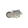 Натяжник ременя генератора Citroen/Peugeot/Ford 1.4HDi/1.6TDCi 01- (65x26)