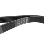 Ремінь генератора VW Caddy III/Golf III/Passat/T4 1.9D/TD (TP)
