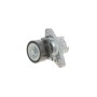 Натяжник ременя генератора Renault Kangoo 1.4/1.6i 97- (60x26)