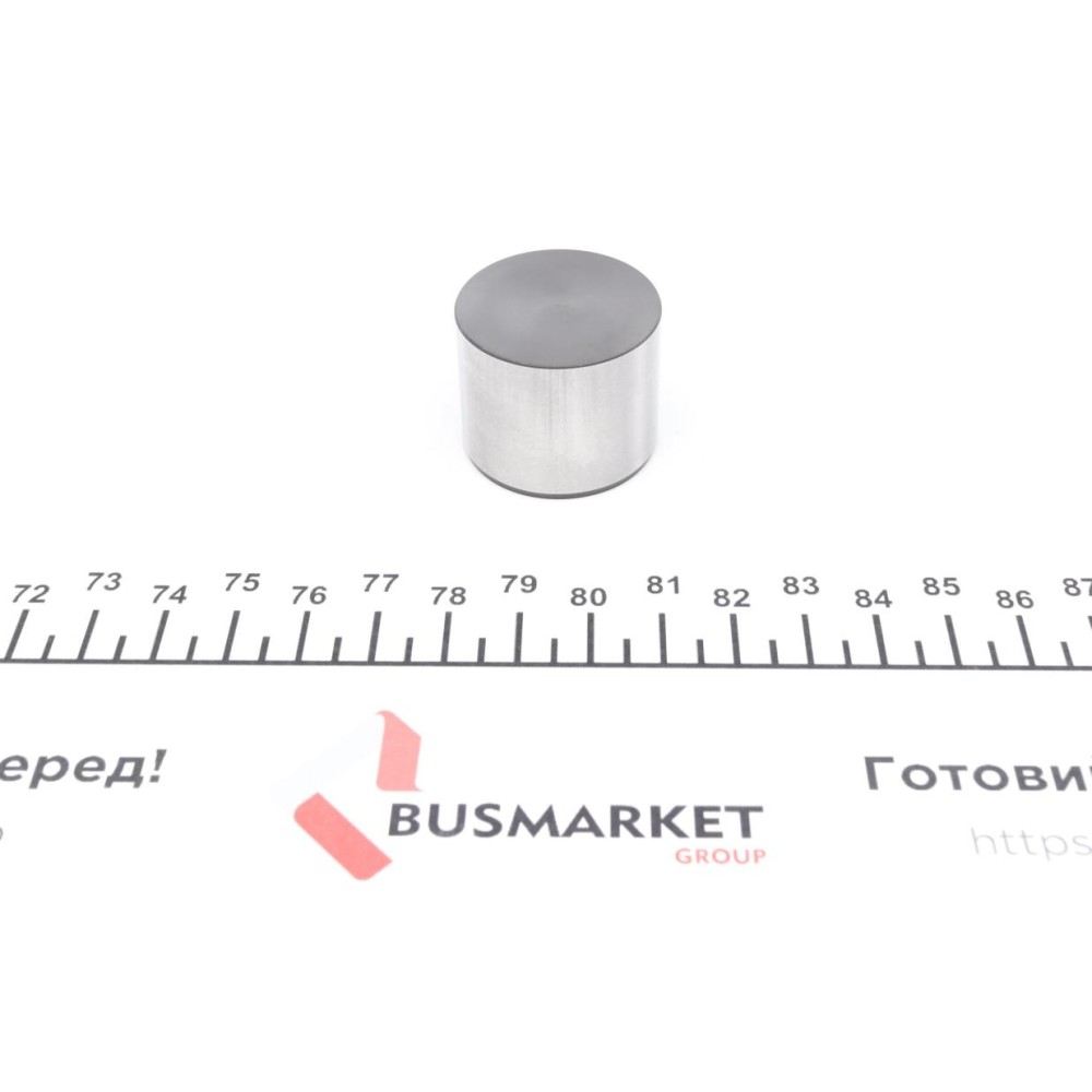 Гідрокомпенсатор Lexus GS/LS 97-06