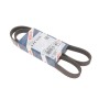 Ремінь генератора Fiat Doblo/Punto 1.2/1.4 99- (5PK1175)