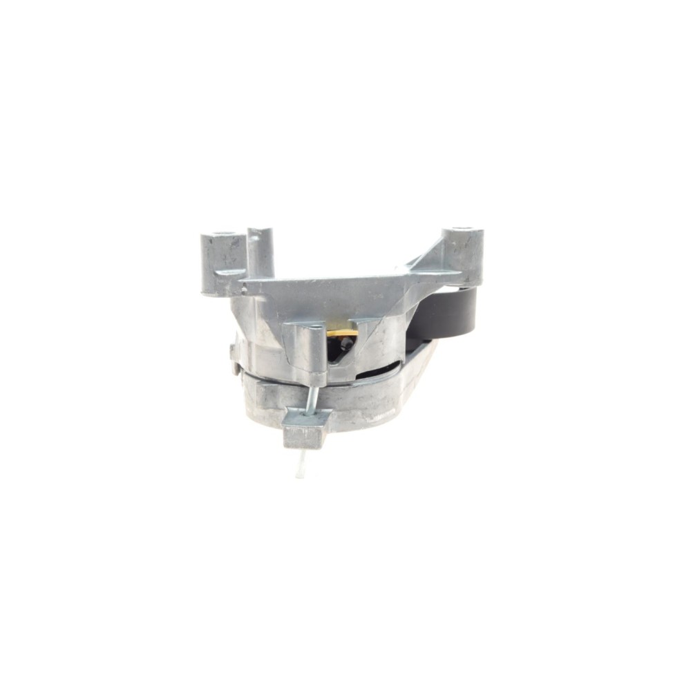 Натяжник ременя генератора VW Caddy 1.9TDI/2.0SDI 04-10 (70x25)