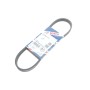 Ремінь генератора Ford Focus C-Max 1.8 03-07 (5PK711)