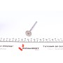 Клапан (впуск) Fiat Doblo/Idea/Panda/Punto 1.3JTD 16V 04-10 (22x6x109.3) (азотований)