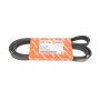 Ремінь генератора Peugeot Expert/Citroen Jumpy 1.9D/TD 96-/2.0HDI 00- (6PK1740)