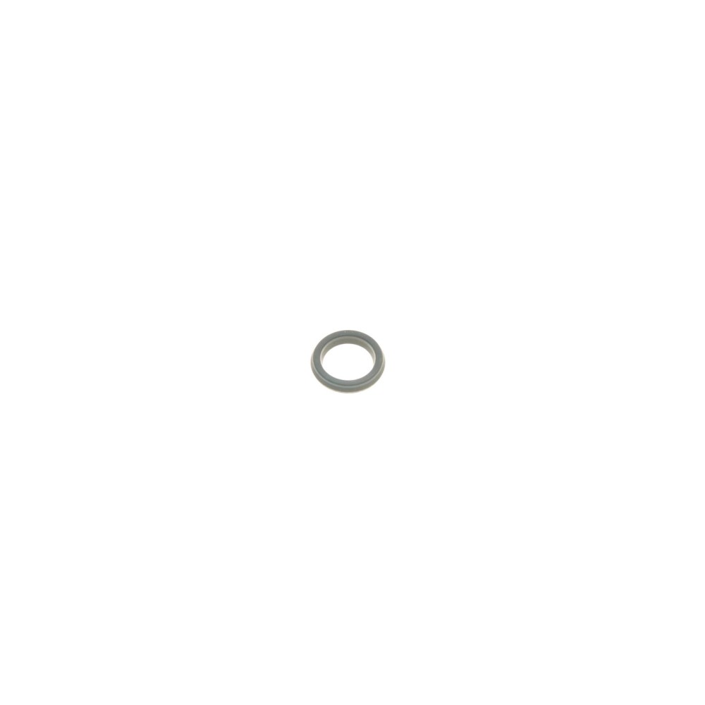 Ремкомплект супорта (заднього) Opel Astra G/Zafira 98-05 (d=38mm) (Bosch) (+поршень)