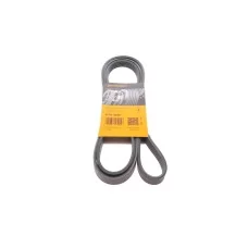 Ремінь генератора Opel Omega B 2.5DTI 01-03/Land Rover Range Rover 3.0D 02-12 (5PK2020)