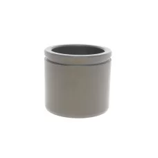 Поршень супорта (переднього) VW Passat 08-14 (60x53.5mm) (TRW)