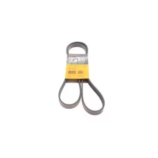 Ремінь генератора Opel Zafira/Astra 1.6/1.8 05-15/Fiat 1.6/1.8 05-/Chevrolet Orlando 1.8 11-
