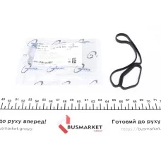 Прокладка радіатора масляного BMW 3 (E90)/5 (E60/F10) 2.3-3.5 -16