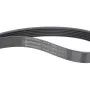 Комплект ременя генератора BMW 1 (F20)/3 (F30/F80)/5 (F10)/X1 (E84) 2.0 N20/N26 11-18