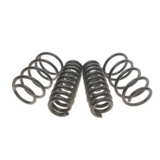 Комплект пружин (Pro-Kit) BMW 3 (F30/F80)/4 (F32/F82) 11- (4 шт.) (для авт. без рег. дор. просвіту)