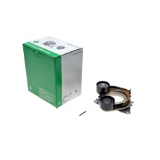 Натяжник ременя генератора Renault Scenic IV 1.5 dCi 17-