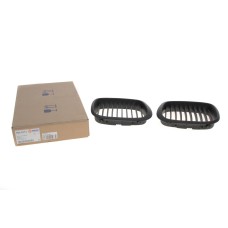 Решітка радіатора BMW 5 (E39) 00-03 (к-кт)