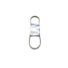 Ремінь генератора Suzuki Swift 1.0i 95-05 (4PK825)