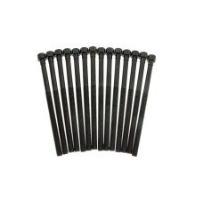 Комплект болтів гбц (14шт) BMW 3 (F30/F80)/5 (G30/F90)/X3 (G01/F97) 15- B46/B48