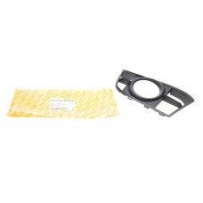 Вставка бампера (під протитуманку) BMW 5 (F10/F11) 09-17 (M-Technic) (L)