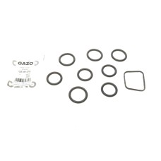 Прокладка колектора впускного Citroen Berlingo/Peugeot Expert 1.6 HDI 05- (к-кт)