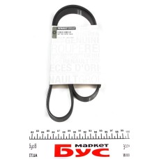 Ремінь генератора Renault Kangoo 1.5 dCi 01-09 (5PK1135)