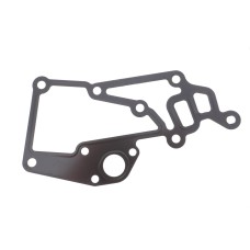 Прокладка термостата Citroen Jumpy/Peugeot Expert 2.0i 00-06