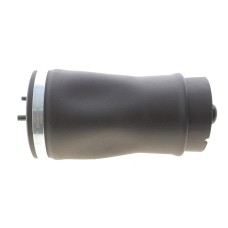 Подушка пневмопідвіски (ззаду) BMW X5 (E53) N57/M54/M62 00-06 (L)