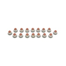 Сальник клапана (впуск/випуск) BMW 3 (F30/G20/G80)/5 (F10/G30/G90)/7 (G11) 10- M47/M67 (к-кт 16шт)