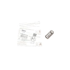 Пружинка ТНВД Renault/Iveco/VW/MAN