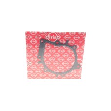 Прокладка помпи води Citroen Jumper/Jumpy/Peugeot Boxer/Expert 2.0 BlueHDI 16-