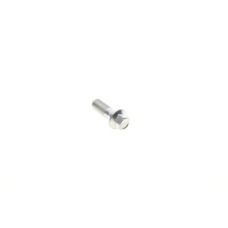 Болт Banjo (банжо) M10x1mm (11x37)