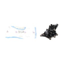 Термостат Renault Clio/Megane 1.4/1.6 02-