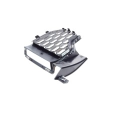 Решітка бампера BMW X5 (G05) 18-(R)