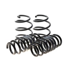 Комплект пружин (Pro-Kit) BMW X3 (G01/F97)/X4 (G02/F98) 3.0M (S58) 19- (4 шт.) (без регул. дор.просв.)