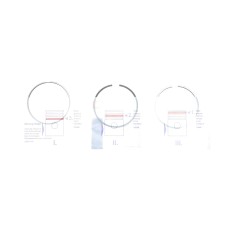 Кільця поршневі Volvo S60/S80/V60/V90/XC40/XC60/XC70/XC90 2.0D 13- (82.00mm/STD) (2-1.75-2)