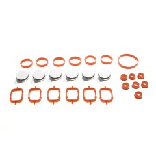 Прокладка колектора впускного BMW 1/3/5/6/7 (2.0/2.5/3.0) 98- M47/M57/N57 (к-кт)