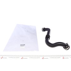 Патрубок інтеркулера Renault Megane II/Scenic II 1.9 DCI 02-
