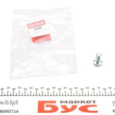 Болт Banjo (банжо) M10x1mm (13x27,2)