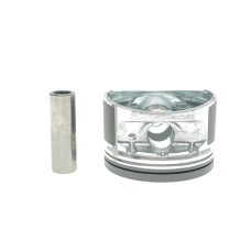 Поршень Daewoo Lanos/Nubira 1.6 97- (79.25mm/+0.25) (к-кт 4 шт)