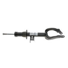 Амортизатор (передній) BMW 5 (F10/F11)/6 (F06/F12) 10-17 (R) N47/N57/N20/N55/N63 (B4)