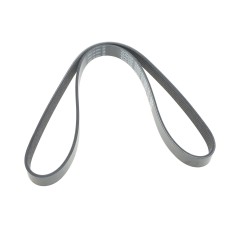 Ремінь генератора Citroen C3/C4/Peugeot 307 1.4-1.6HDi 02- (6PK1090)