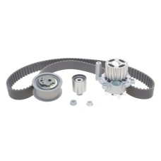 Комплект ГРМ + помпа Audi A3/VW Caddy III/VW T5 1.4-2.0 TDI 03- (30x120z)